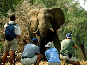 Post Haste Travel Africa Safaris